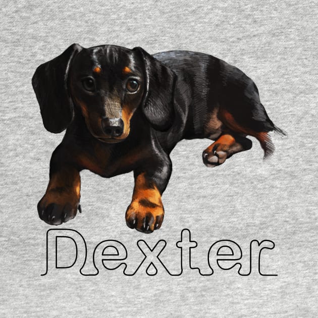 Dexter Boy by Lefrog